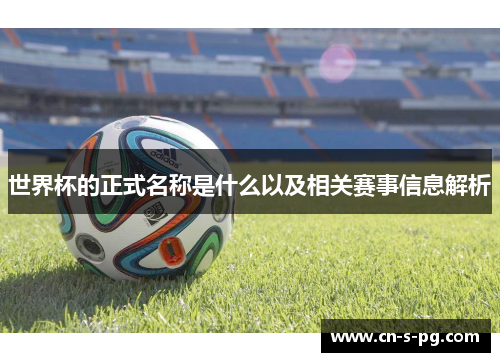 世界杯的正式名称是什么以及相关赛事信息解析