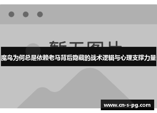 魔鸟为何总是依赖老马背后隐藏的战术逻辑与心理支撑力量