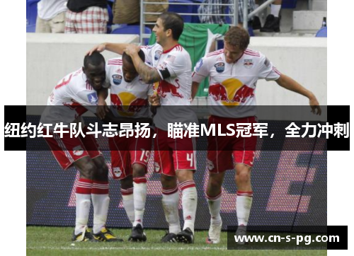 纽约红牛队斗志昂扬,瞄准MLS冠军,全力冲刺 纽约红牛队斗志昂扬,瞄准MLS冠军,全力冲刺