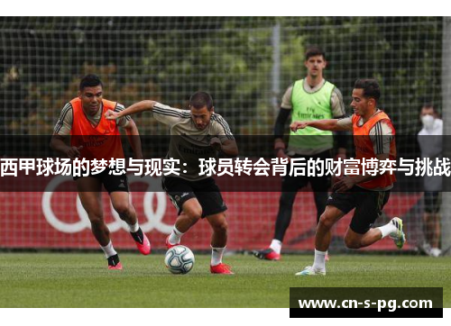 西甲球场的梦想与现实:球员转会背后的财富博弈与挑战 西甲球场的梦想与现实:球员转会背后的财富博弈与挑战