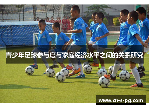 青少年足球参与度与家庭经济水平之间的关系研究 青少年足球参与度与家庭经济水平之间的关系研究