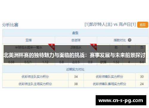 北美洲杯赛的独特魅力与面临的挑战：赛事发展与未来前景探讨