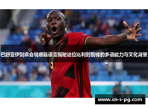 巴舒亚伊到底会说哪些语言揭秘这位比利时前锋的多语能力与文化背景