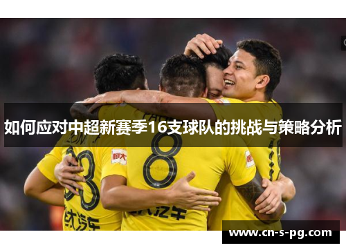 如何应对中超新赛季16支球队的挑战与策略分析
